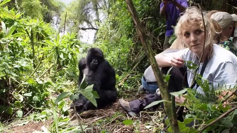 3-Day Bwindi Impenetrable National Park Budget Tour gallery image