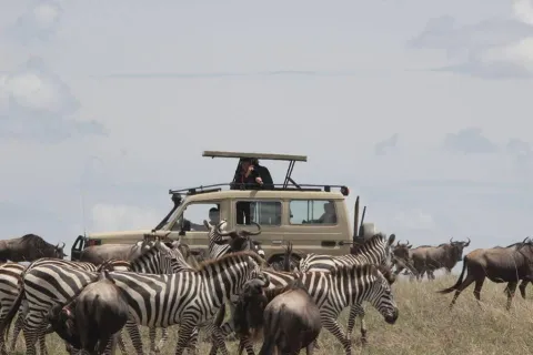 4-Day Kilimanjaro Waterfall, Serengeti & Ngorongoro gallery image