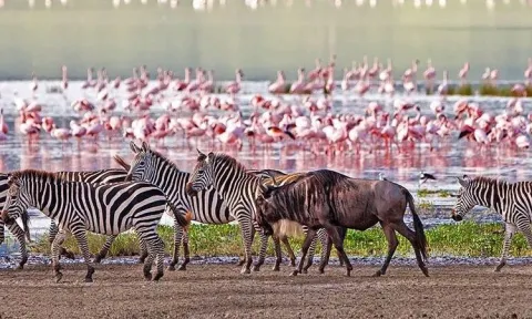 4-Day Kilimanjaro Waterfall, Serengeti & Ngorongoro gallery image