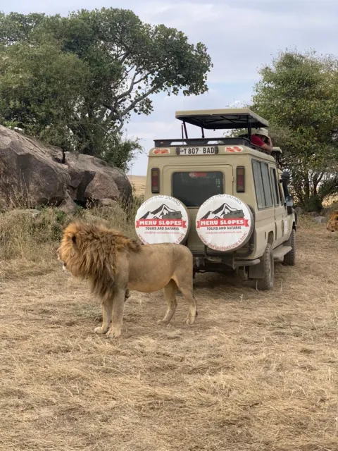 7-Day Mid Range Tour to Serengeti Wildebeest Migration gallery image