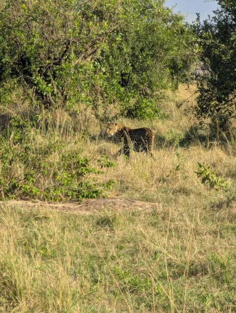 7-Day Multidimensional Tanzania Safari gallery image