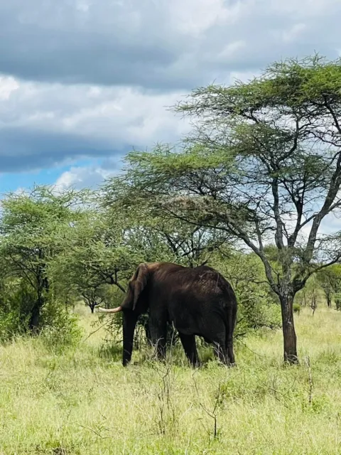 7-Day Multidimensional Tanzania Safari gallery image
