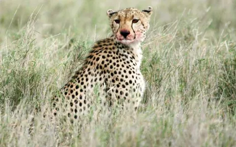 7-Day Nature's Escape - Relax in the Wild gallery image