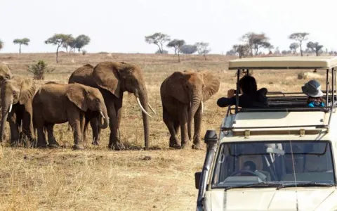 7-Day Nature's Escape - Relax in the Wild gallery image