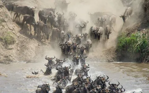 7-Day Nature's Escape - Relax in the Wild gallery image