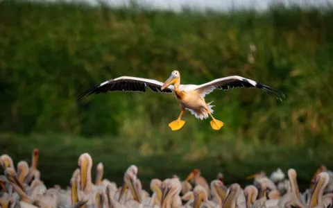 7-Day Northern Circuit Safari with Mid-Range Lodges gallery image