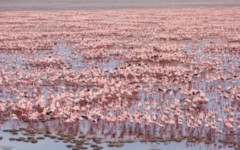 7-Day Northern Circuit Safari with Mid-Range Lodges gallery image