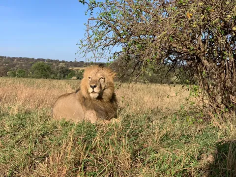 1-Day safari to Nyerere national park from zanzibar gallery image