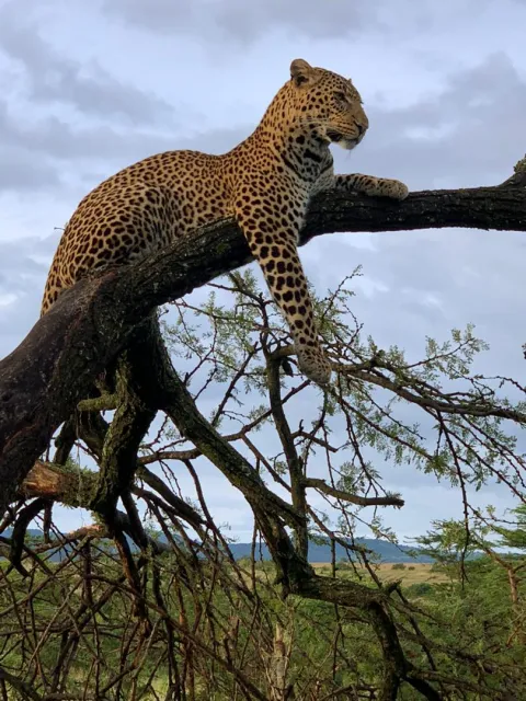 1-Day safari to Nyerere national park from zanzibar gallery image