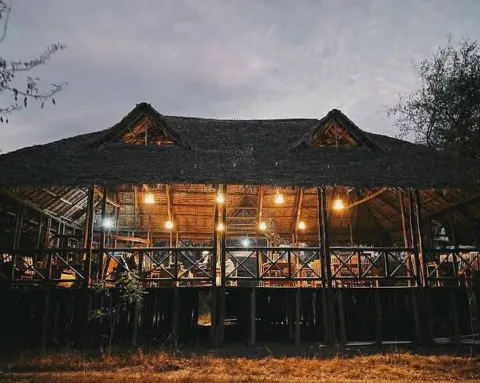 Nyerere Tented Camp