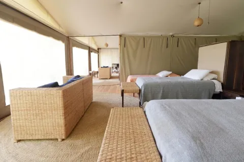 Selous Impala Camp