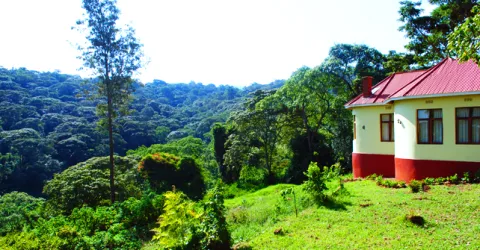 Hhando Coffee Lodge