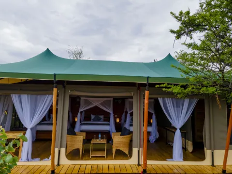 Serengeti Classic View Migration Camp - Kogatende