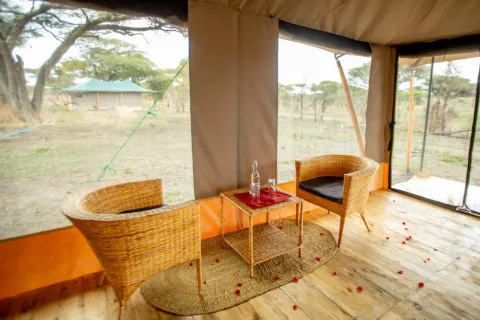 Serengeti Classic View Migration Camp - Kogatende