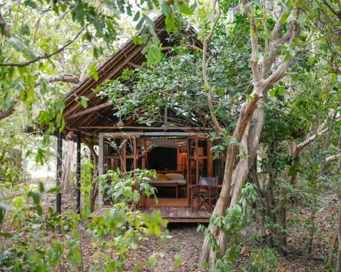 Selous River Camp