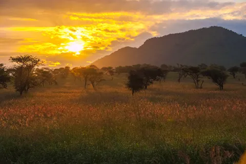 Suenos De Africa Luxury Camp