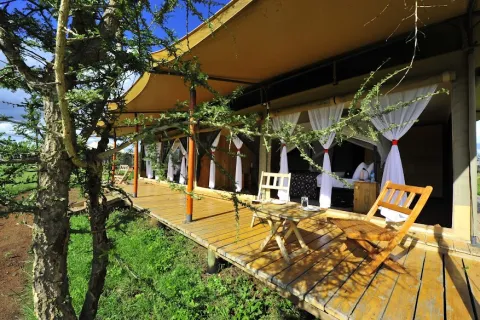 Glimpse Of Africa Tented Camp