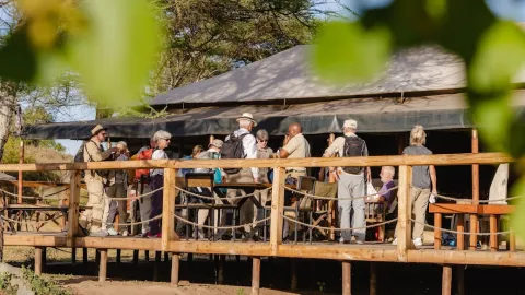 Baobab Central Serengeti Camp