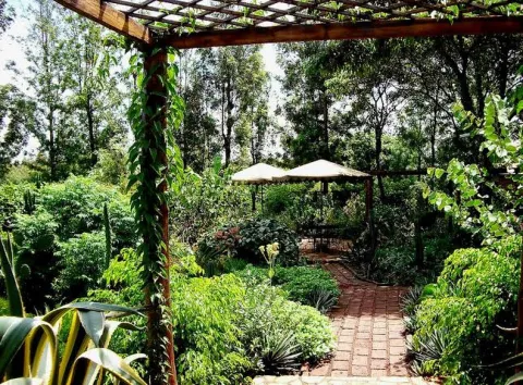 Octagon Safari Lodge