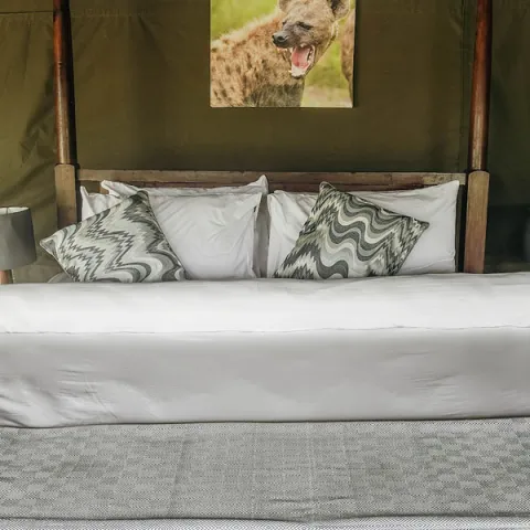 Ang'ata Migration Ndutu Camp