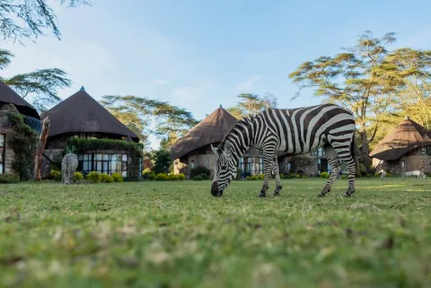 Lake Naivasha Sopa Resort