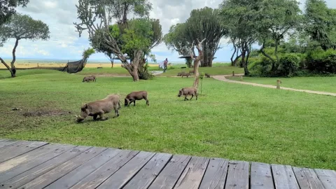&Beyond Kichwa Tembo Tented Camp