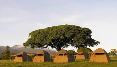 Seronera Public Campsite