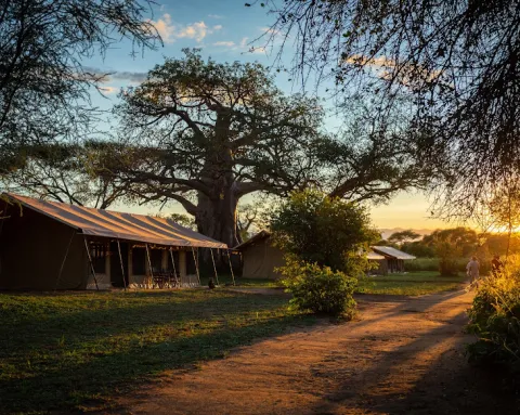 Baobab Tented Camp
