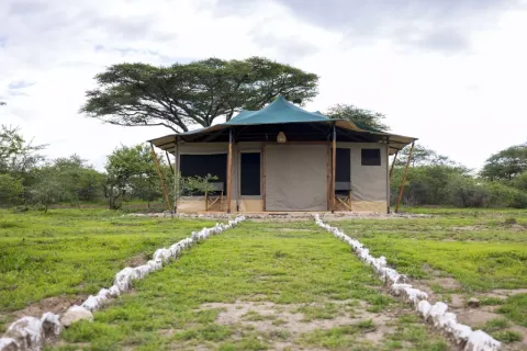 Safari Haven Migration Camp