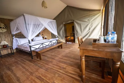Safari Haven Migration Camp