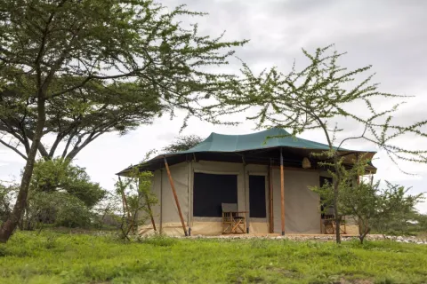 Safari Haven Serengeti Camp
