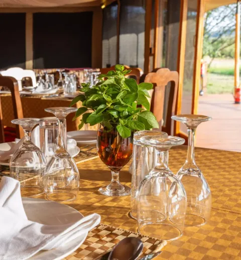 Safari Haven Serengeti Camp