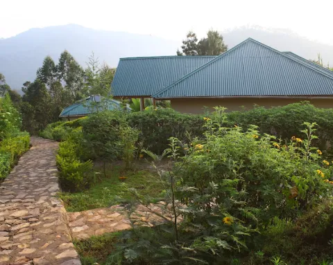 Rushaga Gorilla Haven's Lodge