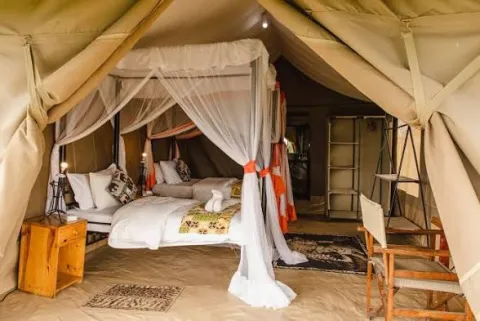 Kenzan Tented Camp Migration Camp