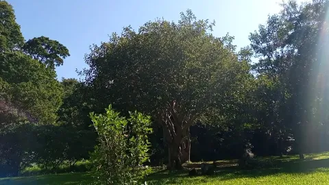 Udzungwa Forest Lodge - Hondo Hondo