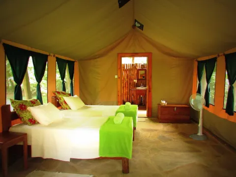 Udzungwa Forest Lodge - Hondo Hondo