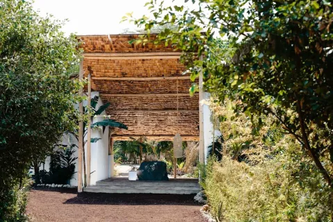 Jungle Pearl Resort