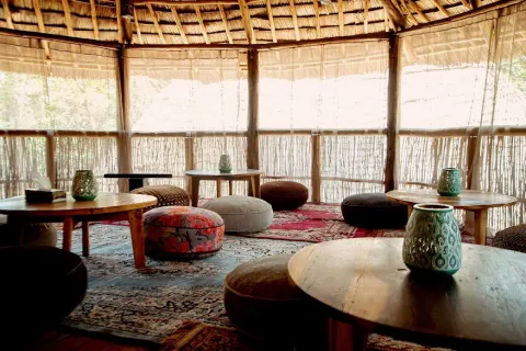 Jungle Pearl Resort