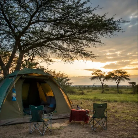 Camping
