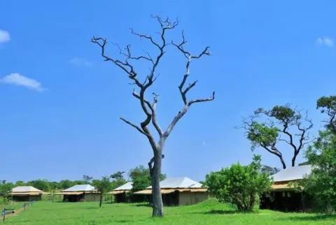 Tanzania Bush Camp Mara River
