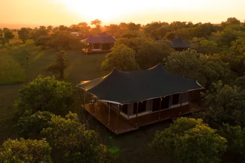 Moyo Camp Warangi