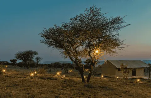 Out-In Africa Serengeti Camps
