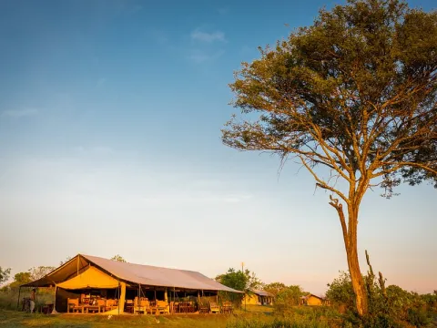 Mara Mara Tented Lodge