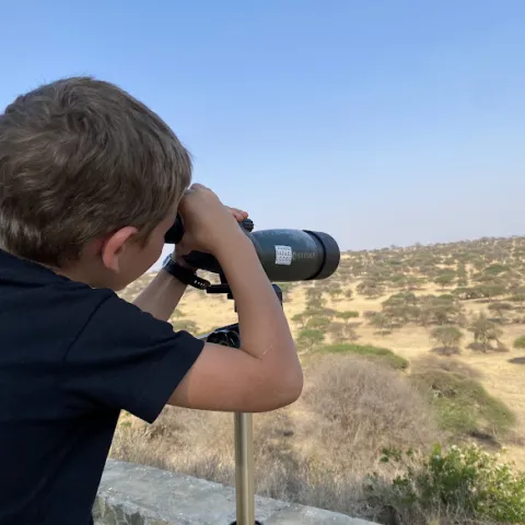 Tarangire Safari Lodge