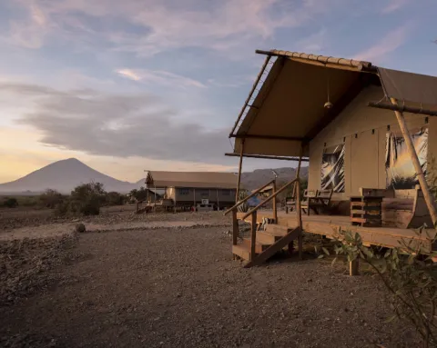 Africa Safari Lake Natron