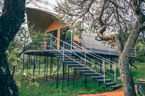 Ngorongoro Safaris Lodge