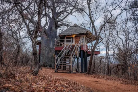 Elewana Tarangire Treetops