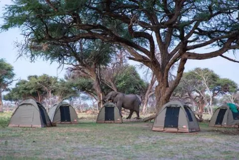 Camp Buffalo