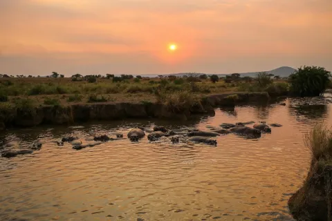 Osero Serengeti Tented Camp