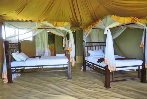 Robin Serengeti Camp